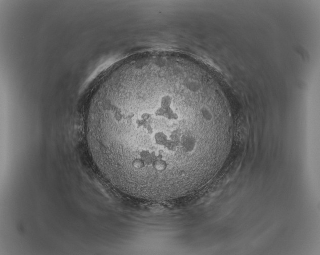 X0000113141255200909181722