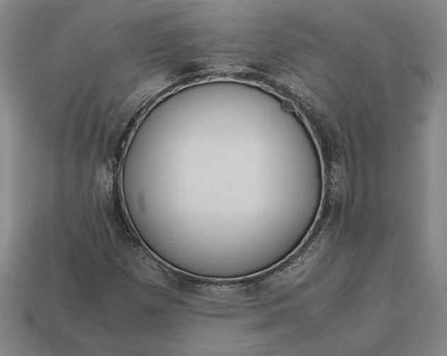 X0000113141257200909181722