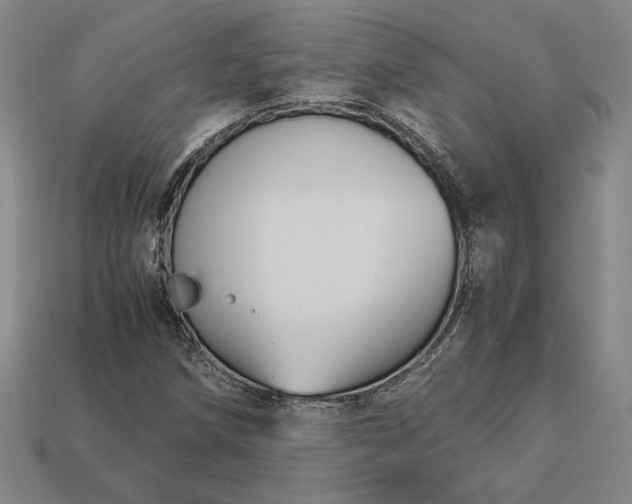 X0000113141258200909181722