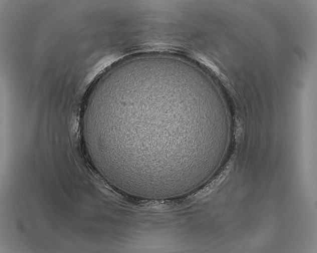 X0000113141259200909181722