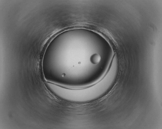 X0000113141260200909181722