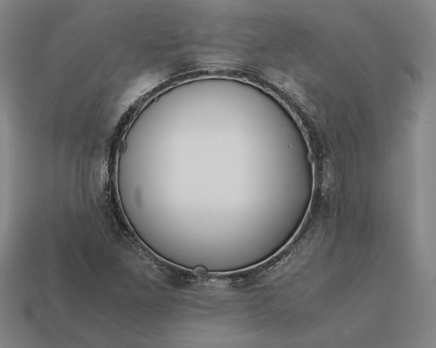 X0000113141261200909181722