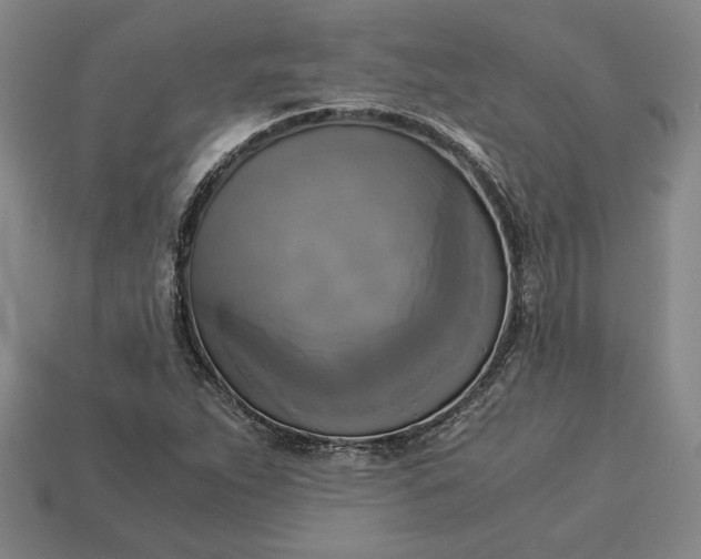 X0000113141263200909181722