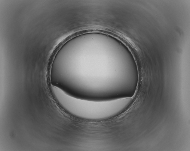 X0000113141264200909181722