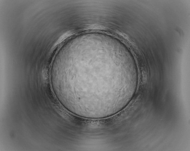 X0000113141266200909181722