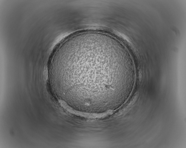 X0000113141267200909181722