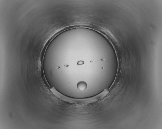 X0000113141268200909181722