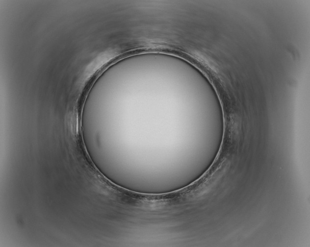 X0000113141269200909181722