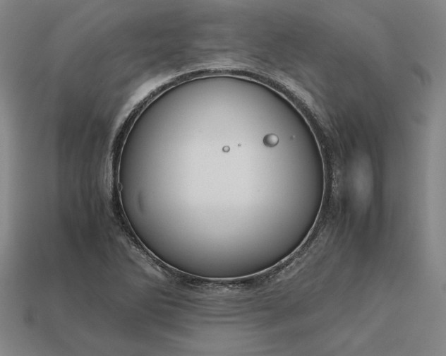 X0000113141270200909181722