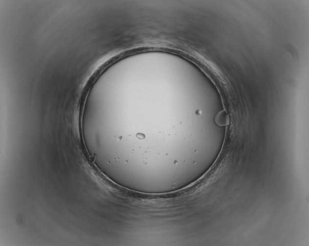 X0000113141272200909181722