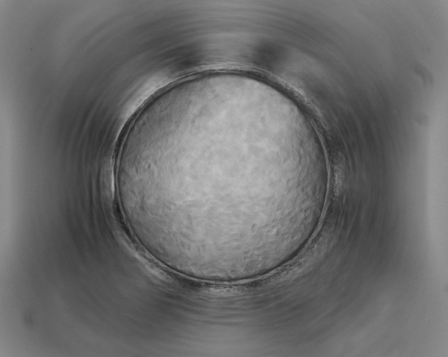 X0000113141274200909181722