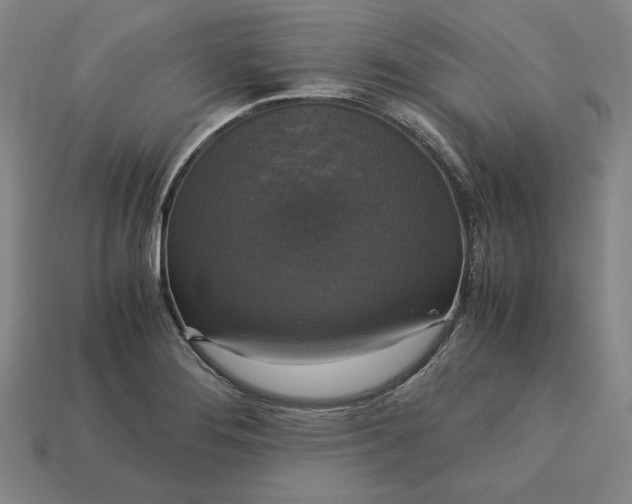 X0000113141276200909181722