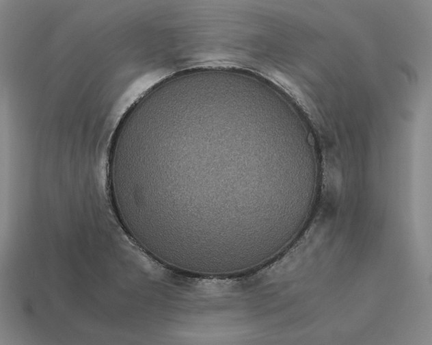 X0000113141277200909181722