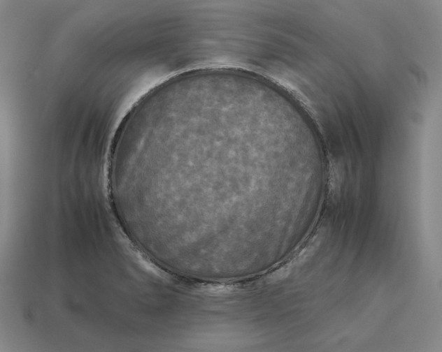 X0000113141278200909181722