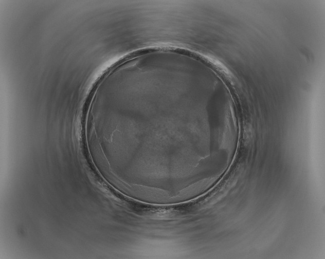 X0000113141279200909181722