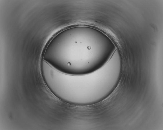 X0000113141280200909181722