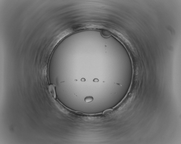 X0000113141281200909181722