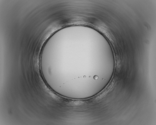 X0000113141282200909181722