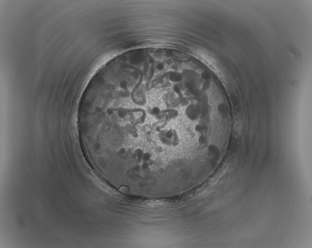 X0000113141283200909181722