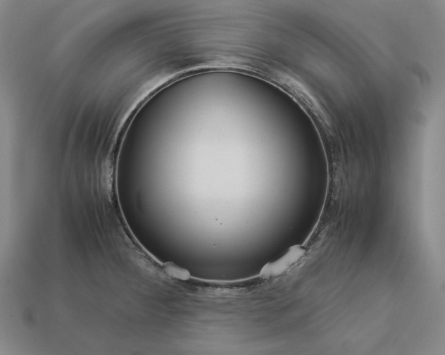 X0000113141284200909181722