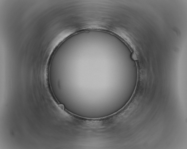 X0000113141285200909181722