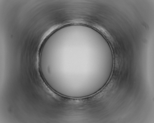 X0000113141286200909181722