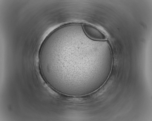 X0000113141287200909181722