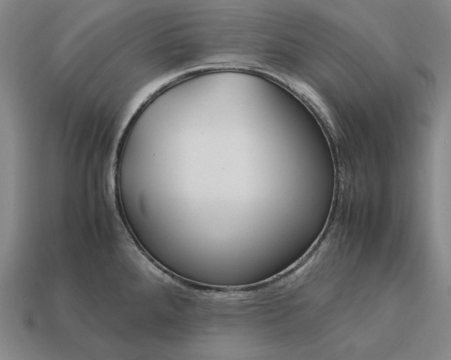 X0000113141288200909181722