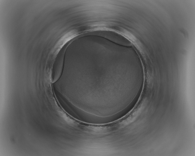 X0000113141289200909181722