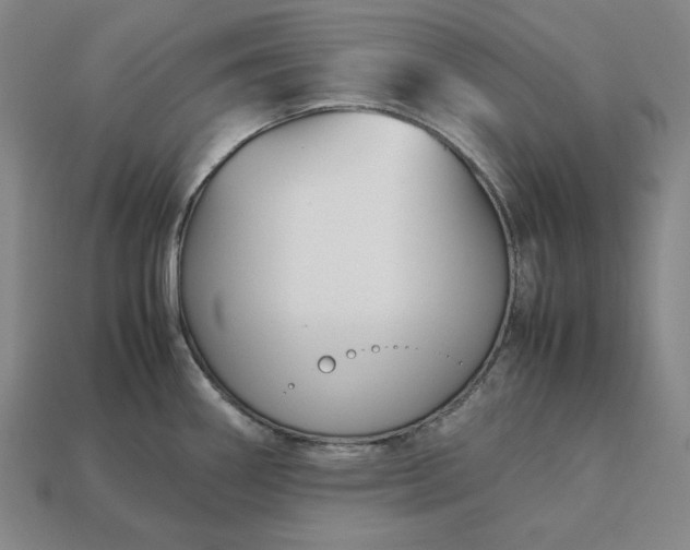 X0000113141290200909181722