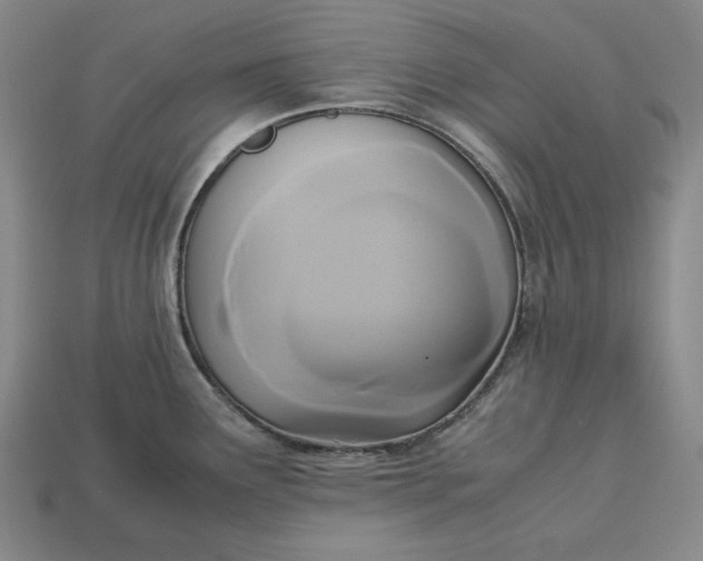 X0000113141291200909181722