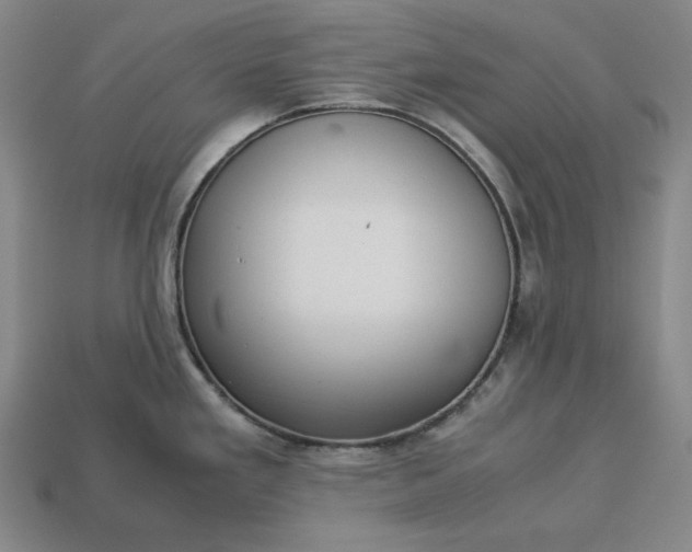 X0000113141293200909181722