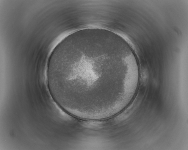 X0000113141294200909181722