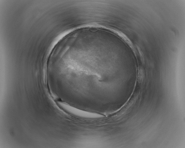 X0000113141295200909181722