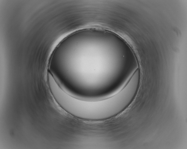 X0000113141296200909181722