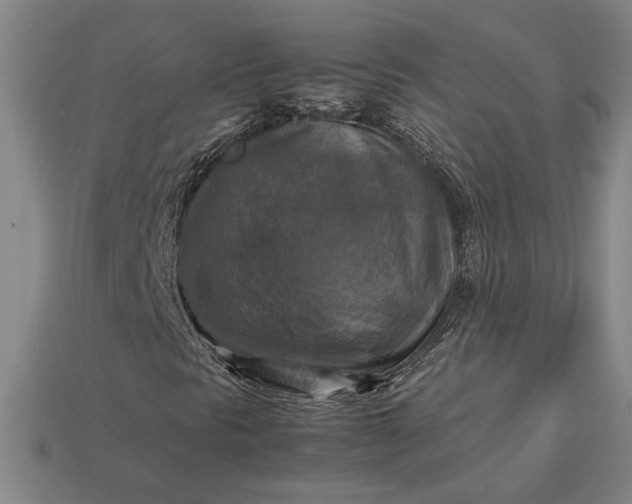 X0000113141297200909181721