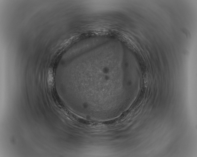 X0000113141298200909181721