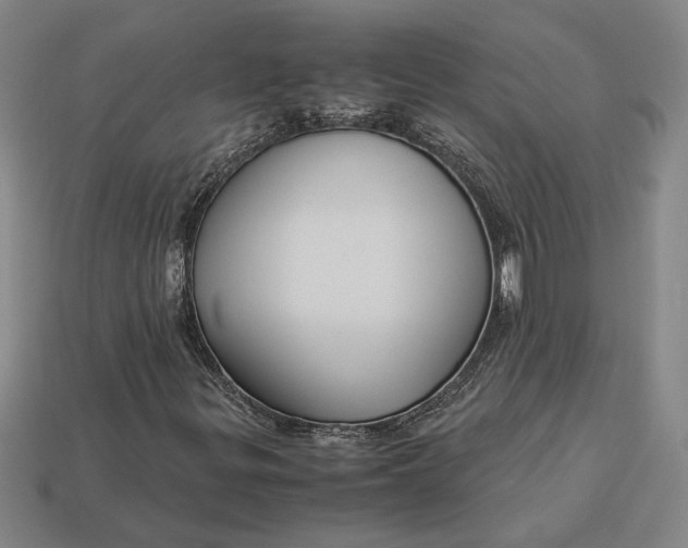 X0000113141299200909181721