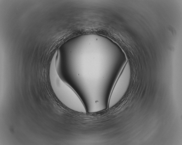 X0000113141300200909181721