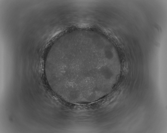 X0000113141301200909181721