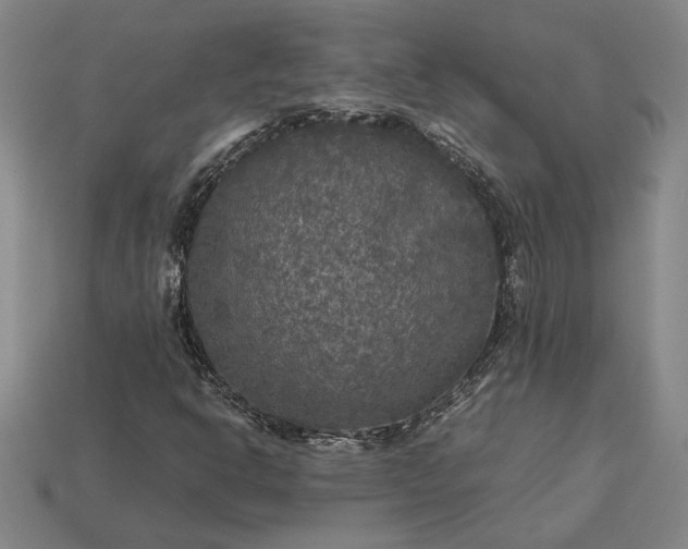 X0000113141302200909181721