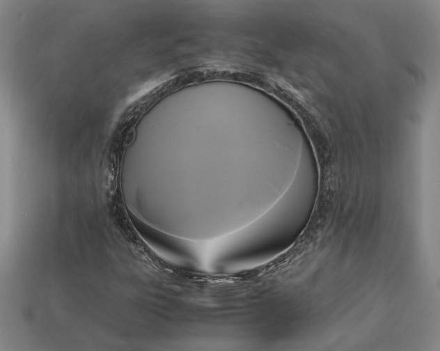 X0000113141303200909181721