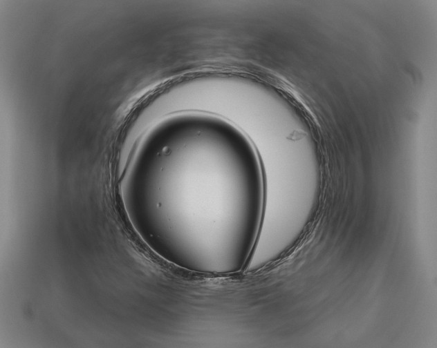 X0000113141304200909181721