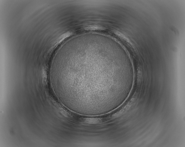 X0000113141305200909181721