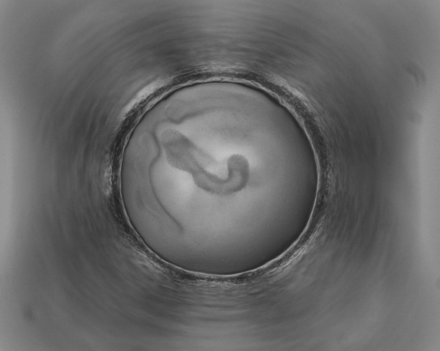 X0000113141306200909181721