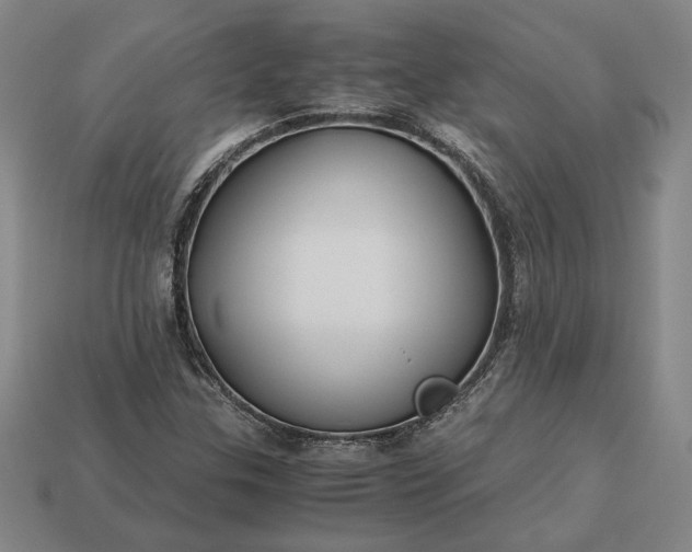 X0000113141307200909181721