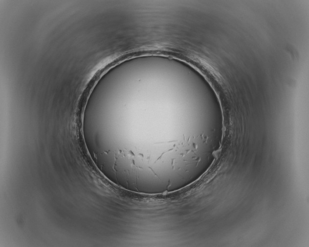 X0000113141308200909181721