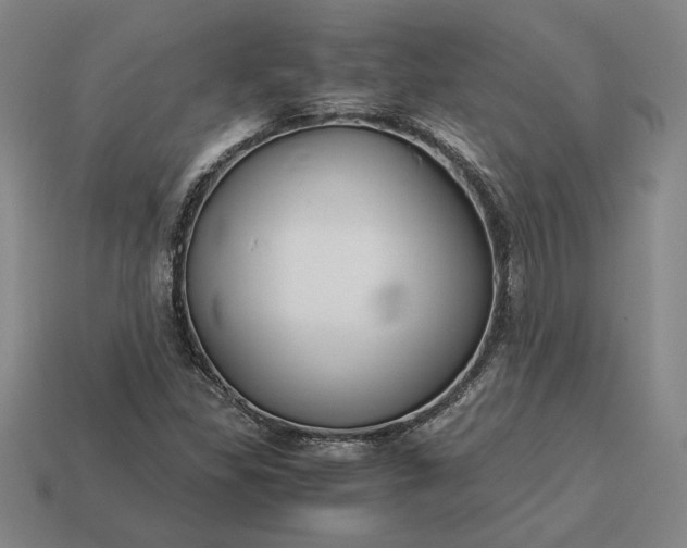 X0000113141309200909181721