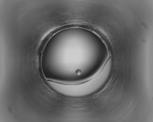 X0000113141310200909181721