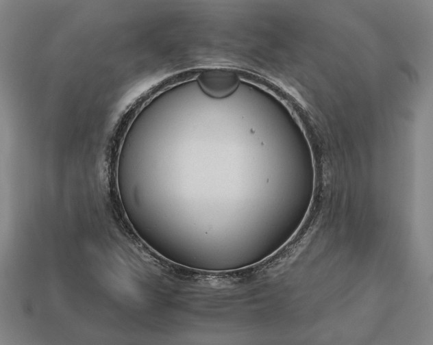 X0000113141311200909181721